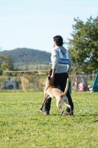 EDUCAZIONE CANI TORINO|Cani Utilità e Difesa Piemonte LA TANA DEI LUPI Pensione Cani Torino