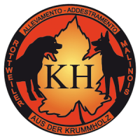 logo-krummholz_ITA.png